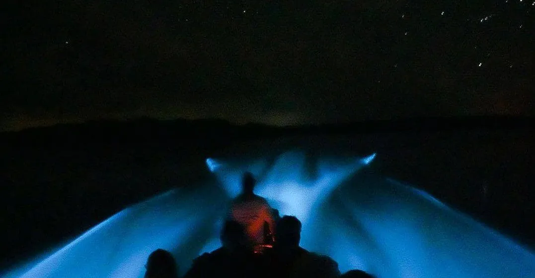 View from boat showing glowing bioluminescence trail