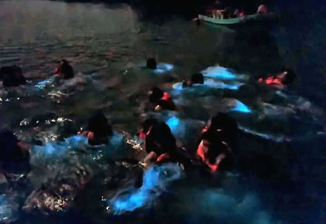 Swimmers creating glowing trails in the lagoon
