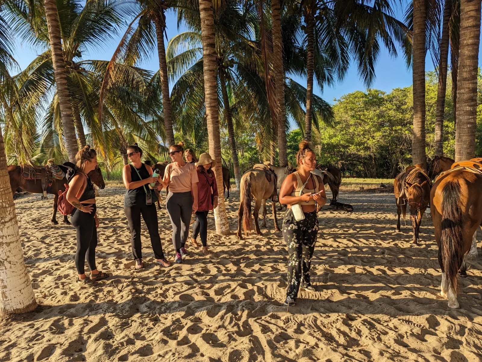 Tour group meeting under palm trees before the ride