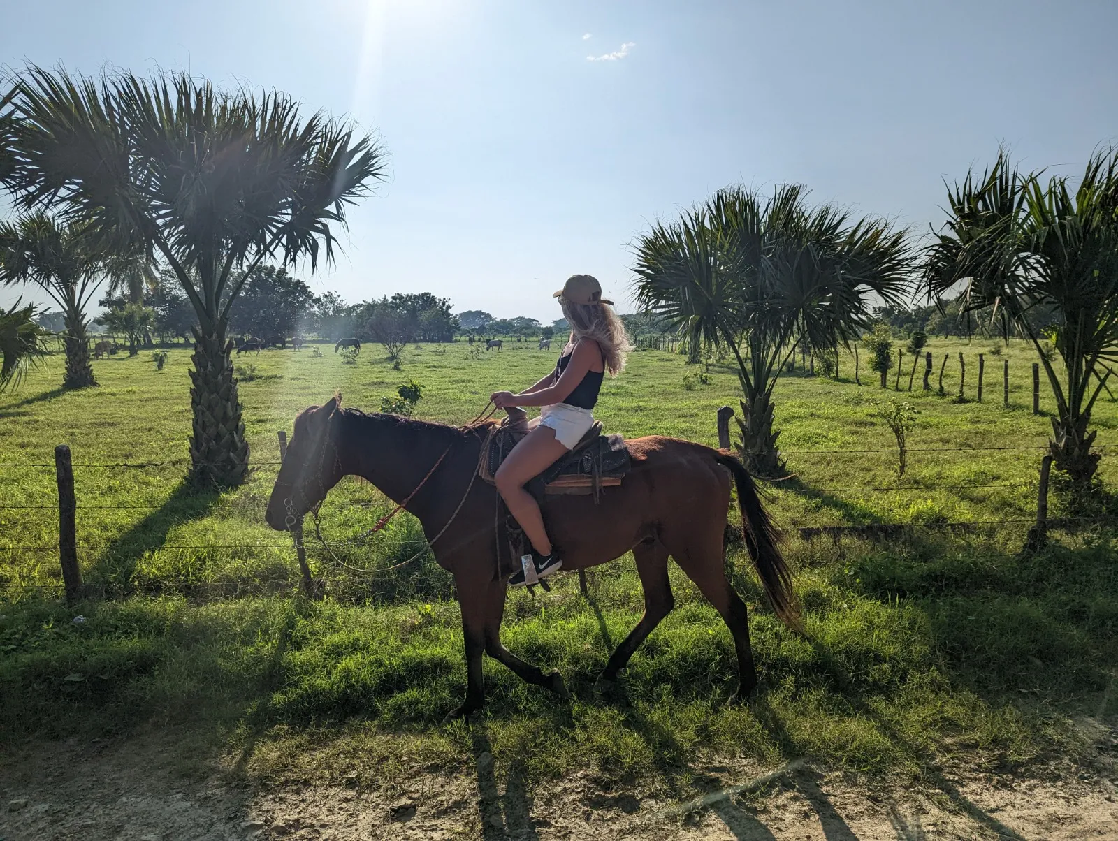 Horseback riding through lush green fields and palm trees