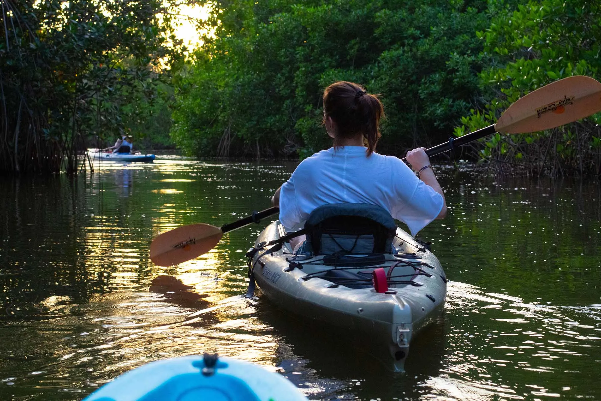 Kayaking through golden mangrove channels at sunset in Manialtepec Lagoon Puerto Escondido