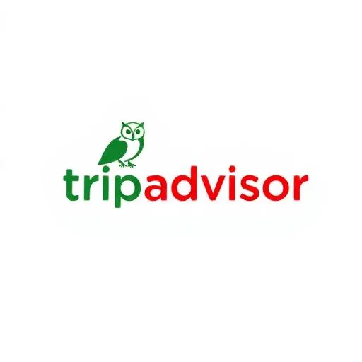 TripAdvisor Reviews