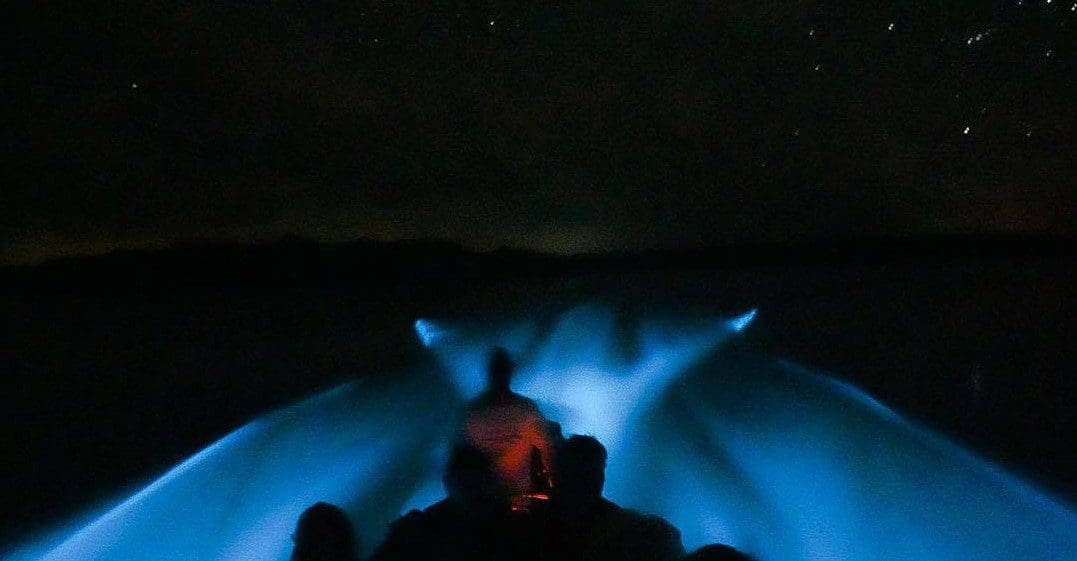 View from boat showing glowing bioluminescence trail