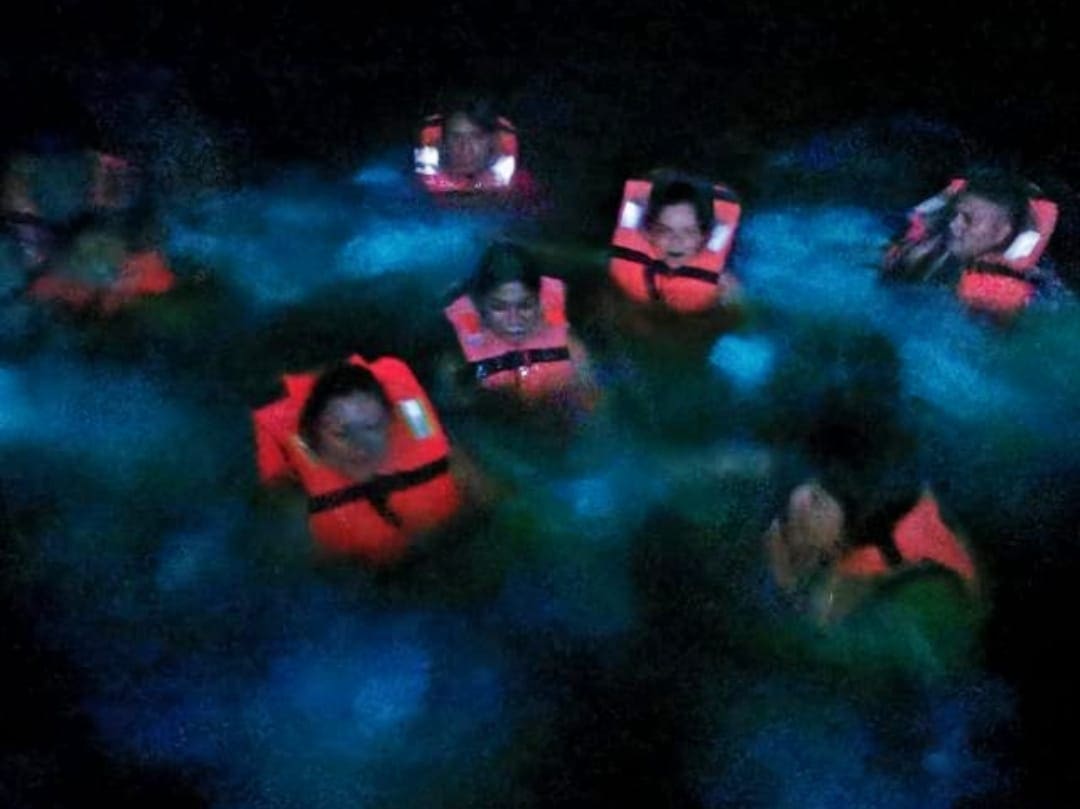 Group of swimmers enjoying the glowing waters