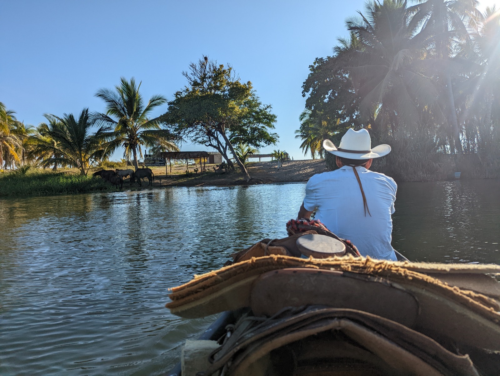 Cowboy guide on boat with saddle crossing the lagoon