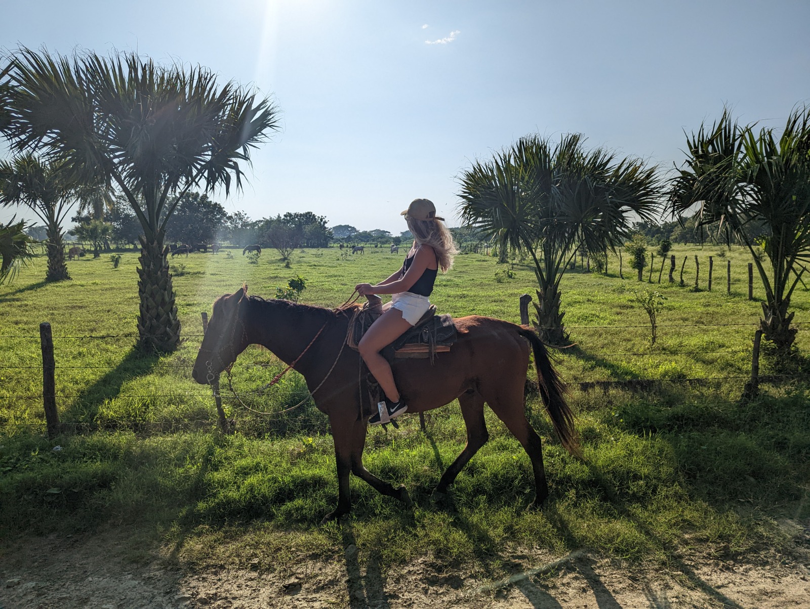 Horseback riding through lush green fields and palm trees