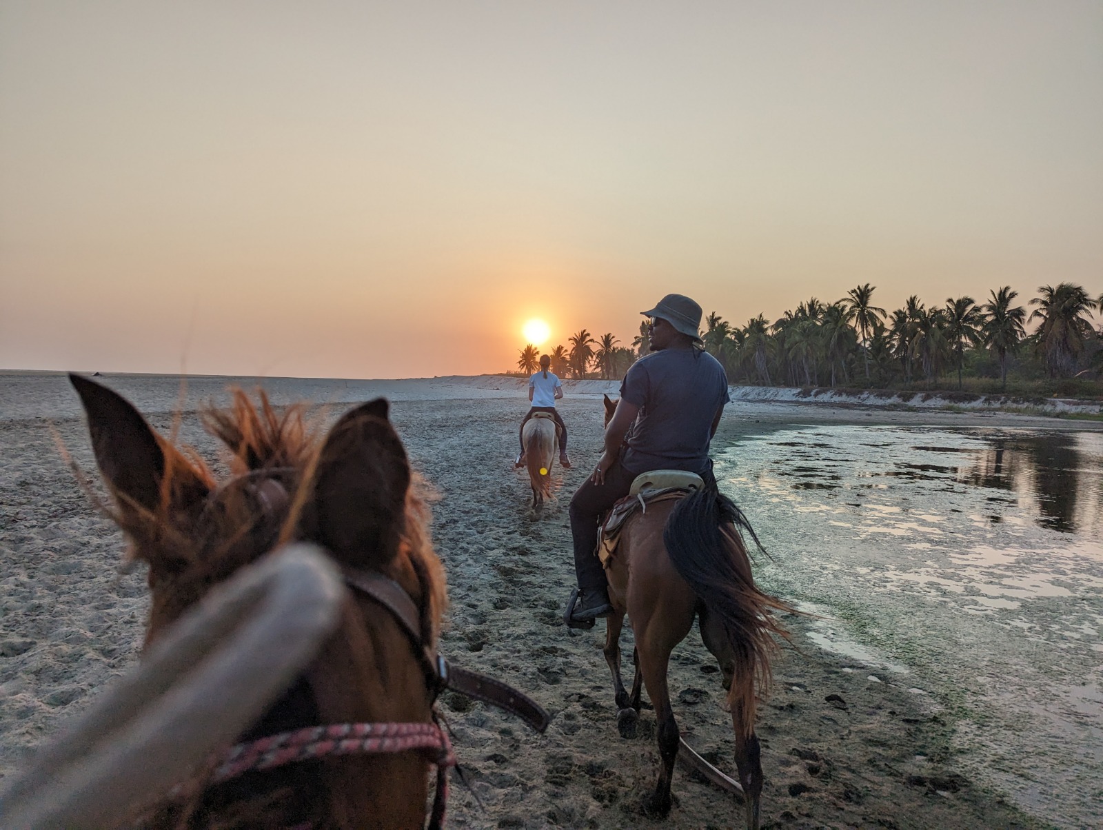 Riders enjoying sunset views on horseback along the coast