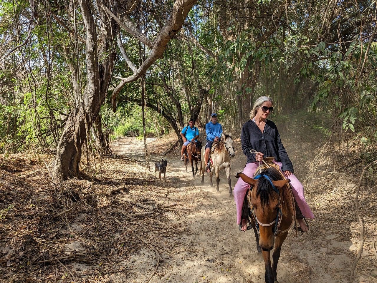 Riders on jungle trail through dense forest