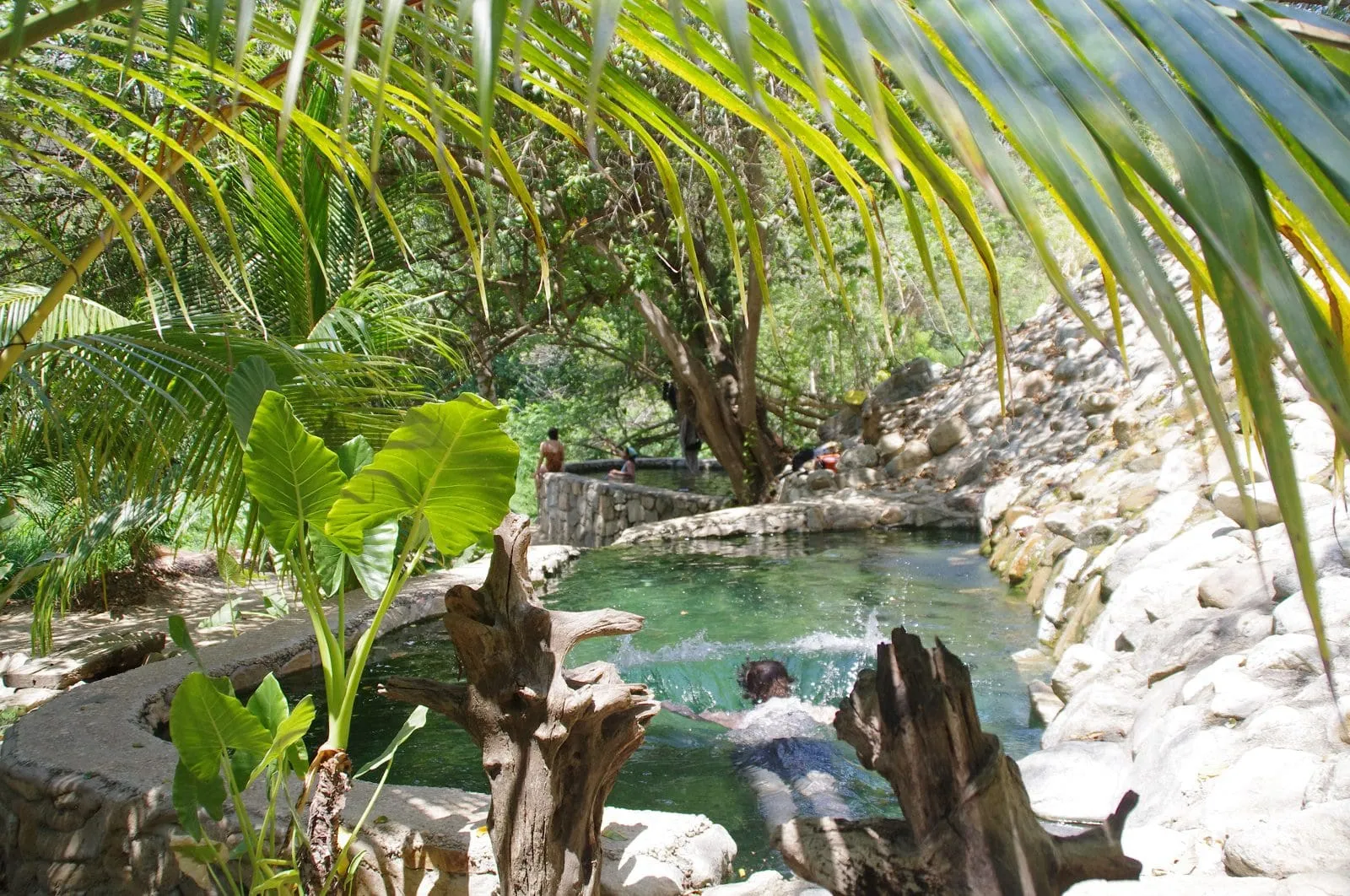 Guests swimming in tropical hot springs pool with palm trees