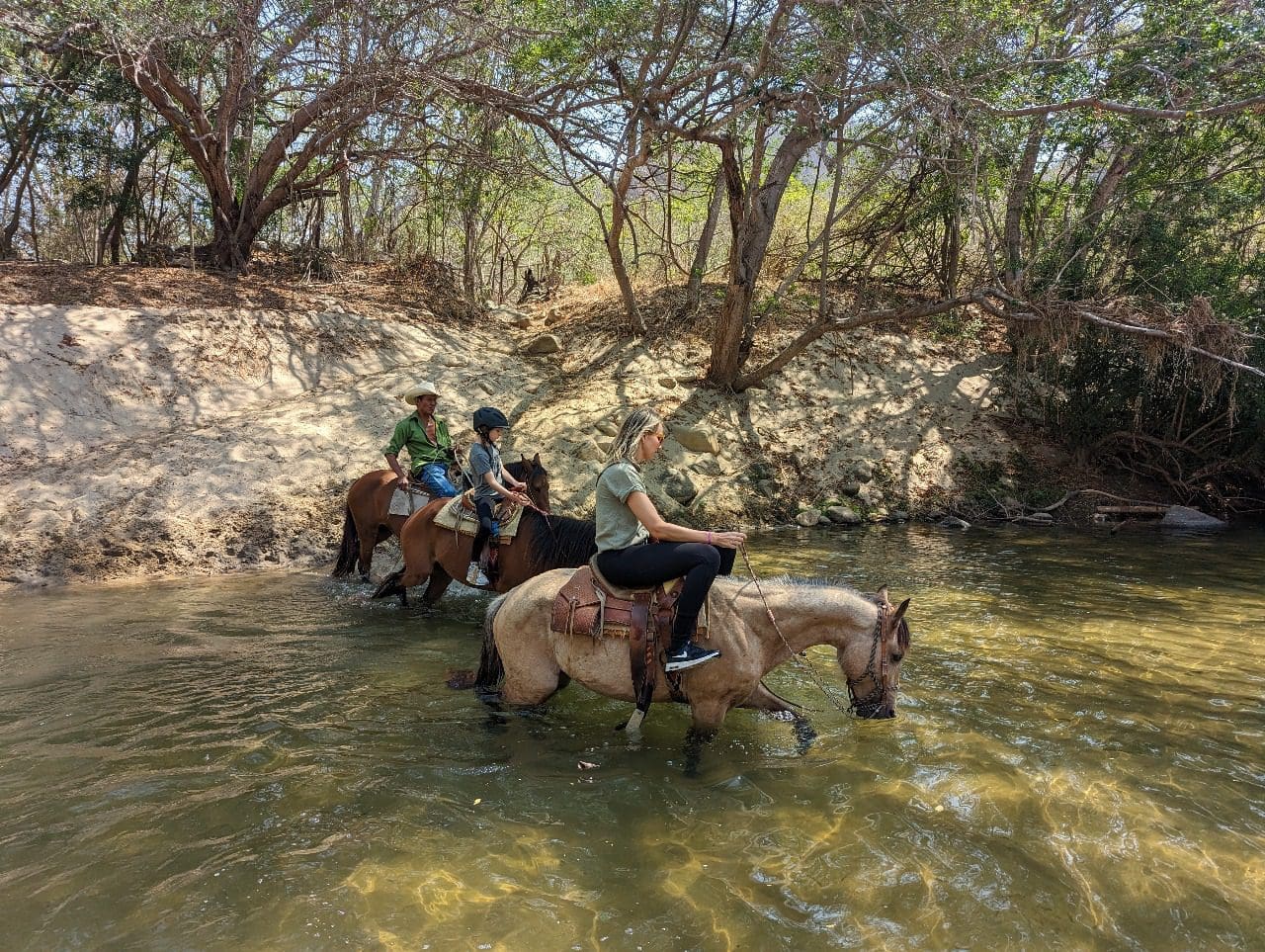 Horses wading through river with riders