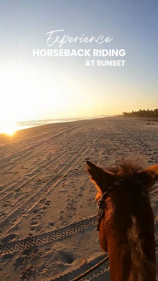 Horseback riding at sunset