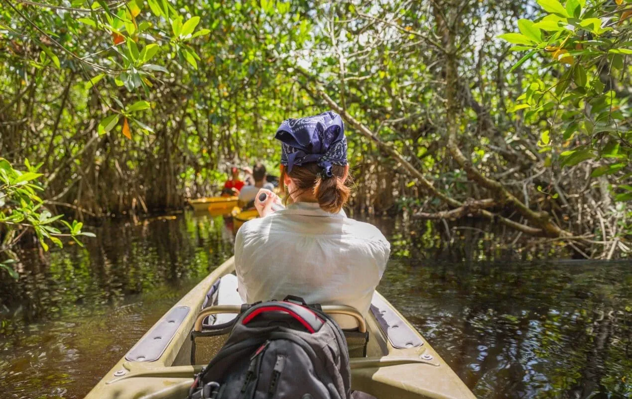 Group kayaking adventure through lush green mangroves