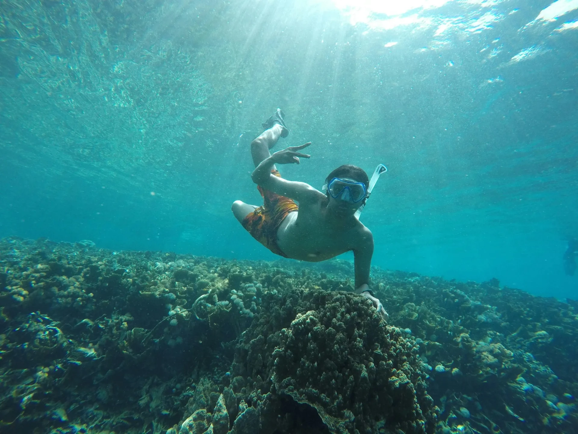 Snorkeler diving to explore coral formations