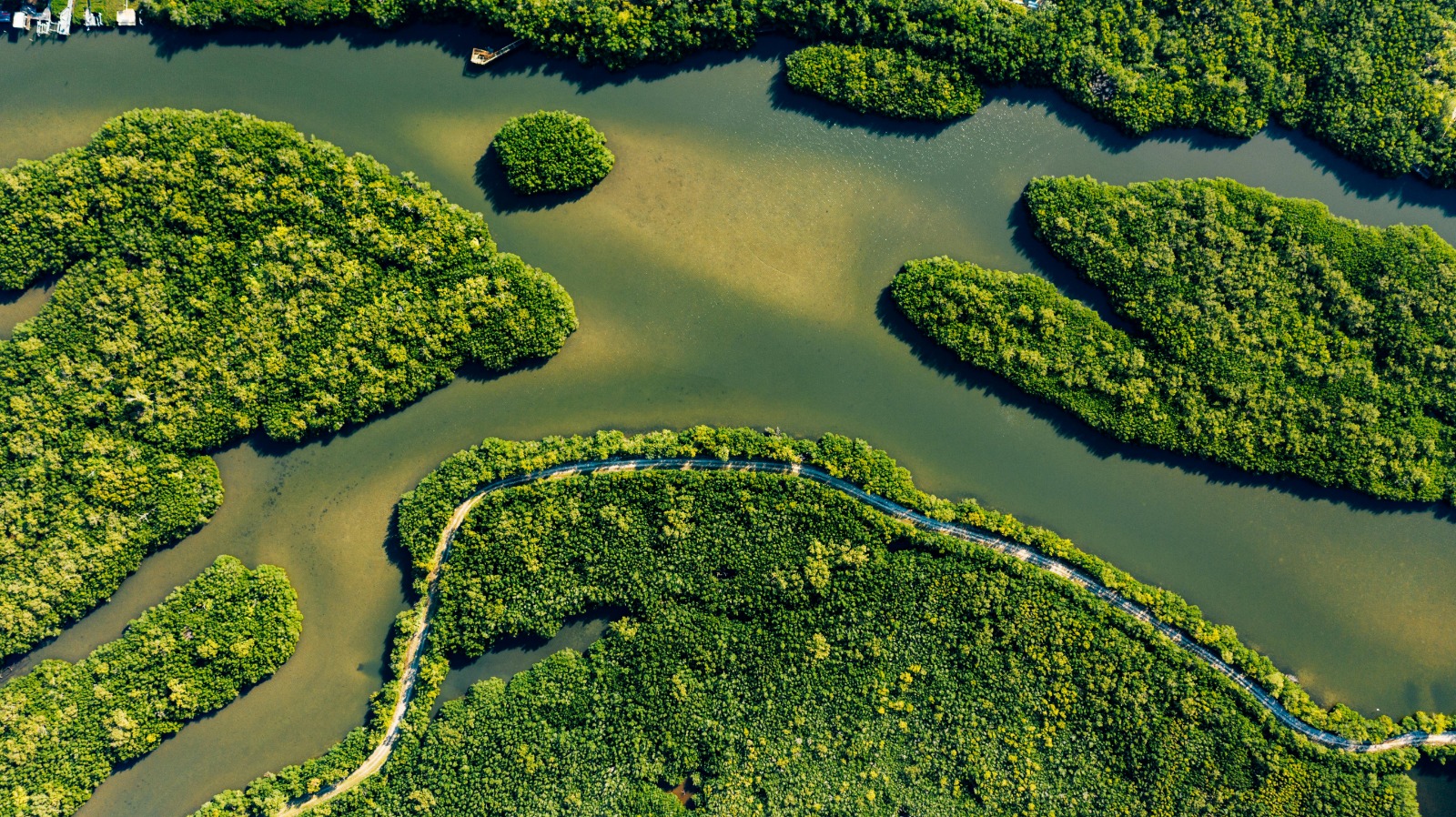 Puerto Escondido nature 3