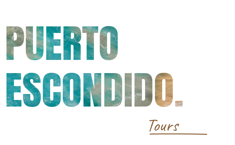 Puerto Escondido Tours - Your adventure starts here