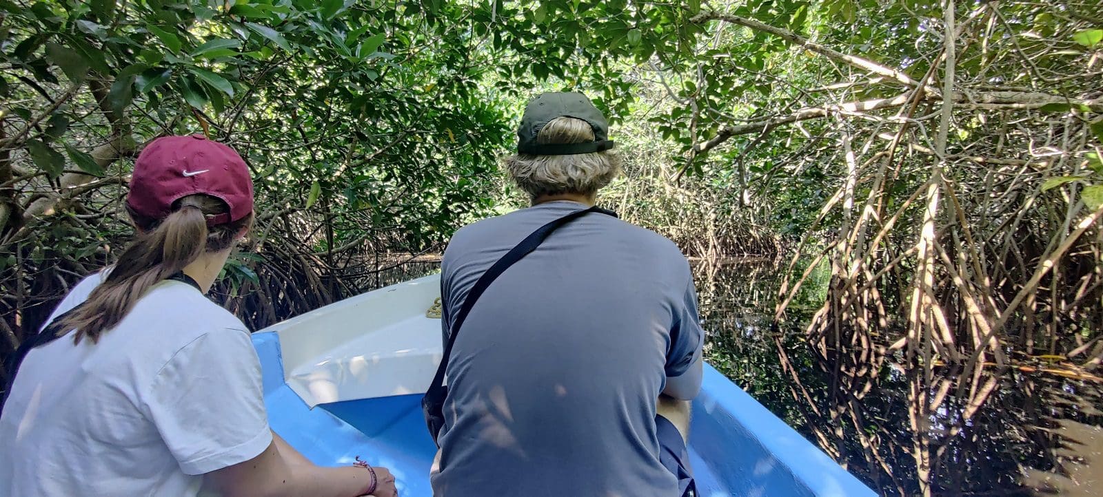 Crocodile Watching - Experience the best of Puerto Escondido